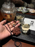 The Remedy Strand – Nine-Tail Fox Pendant Necklace